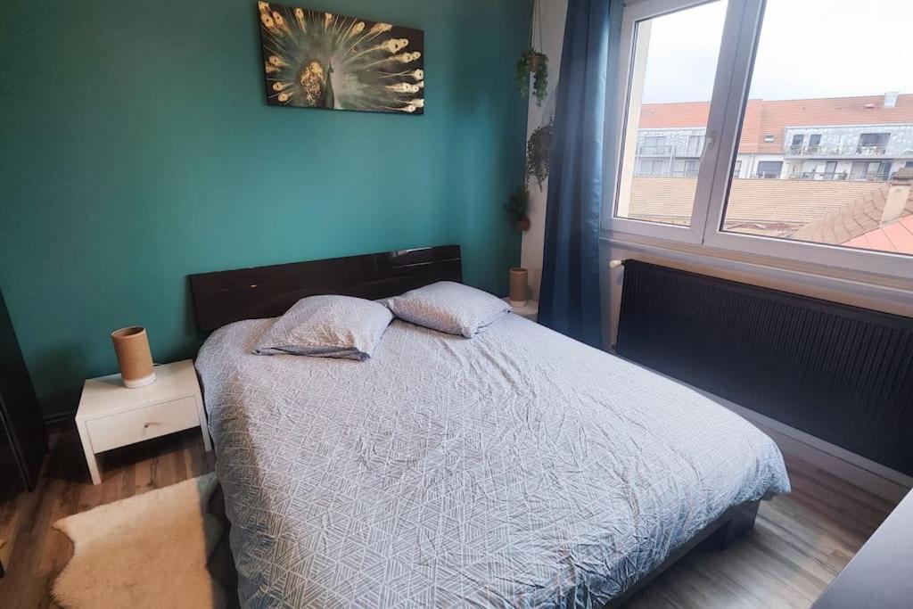 Colmar Chaleureux 5 Mn Du Centre T2 Daire Dış mekan fotoğraf